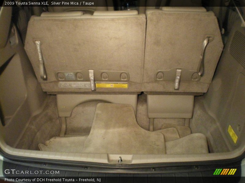 Silver Pine Mica / Taupe 2009 Toyota Sienna XLE