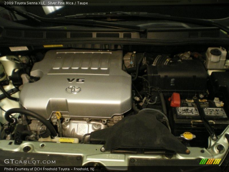 Silver Pine Mica / Taupe 2009 Toyota Sienna XLE