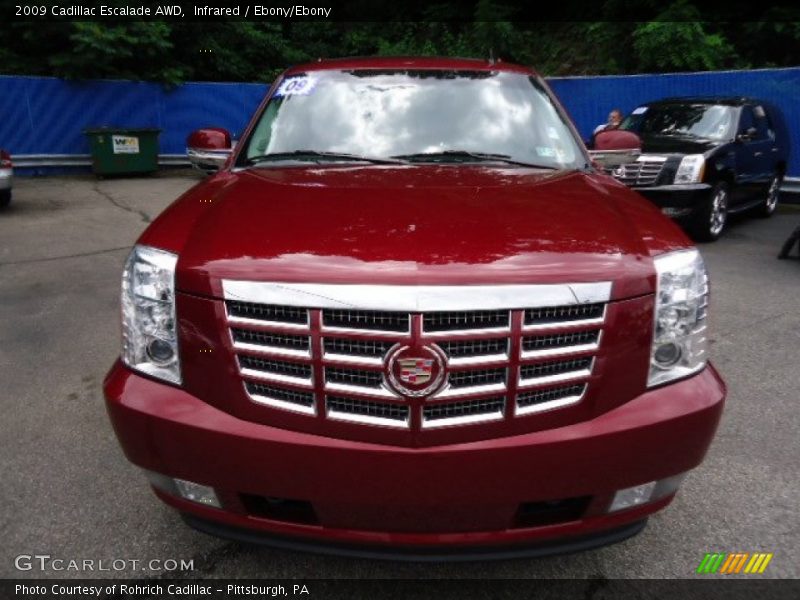 Infrared / Ebony/Ebony 2009 Cadillac Escalade AWD