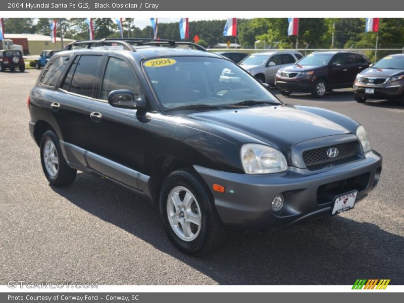 Black Obsidian / Gray 2004 Hyundai Santa Fe GLS