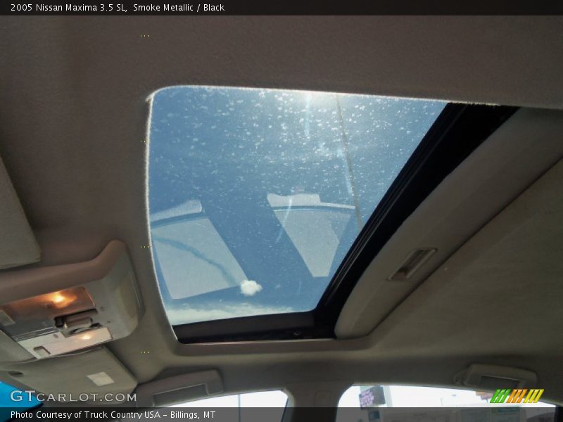 Smoke Metallic / Black 2005 Nissan Maxima 3.5 SL