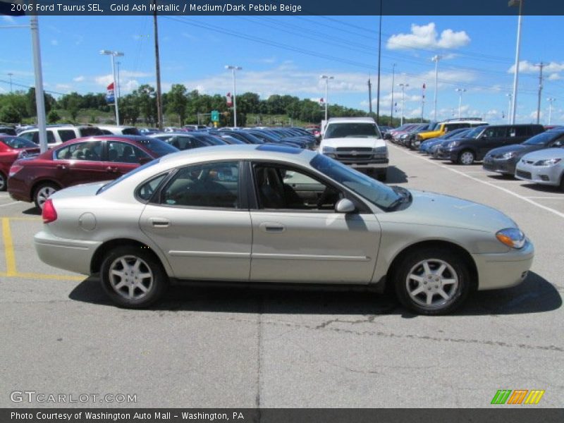 Gold Ash Metallic / Medium/Dark Pebble Beige 2006 Ford Taurus SEL