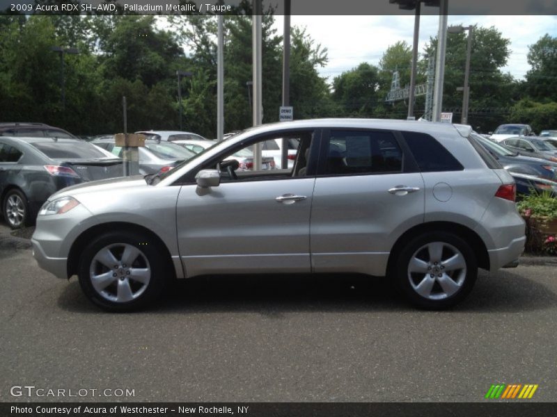 Palladium Metallic / Taupe 2009 Acura RDX SH-AWD