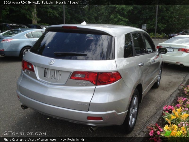 Palladium Metallic / Taupe 2009 Acura RDX SH-AWD