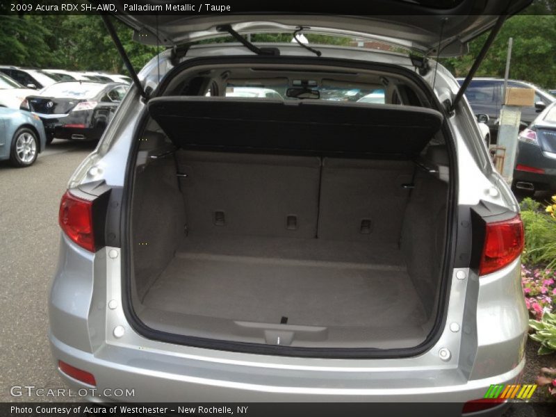 Palladium Metallic / Taupe 2009 Acura RDX SH-AWD