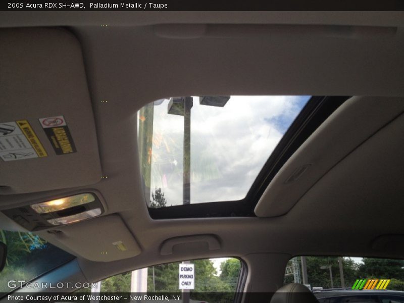 Palladium Metallic / Taupe 2009 Acura RDX SH-AWD