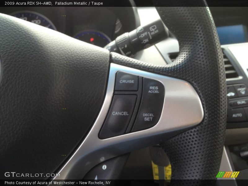 Palladium Metallic / Taupe 2009 Acura RDX SH-AWD