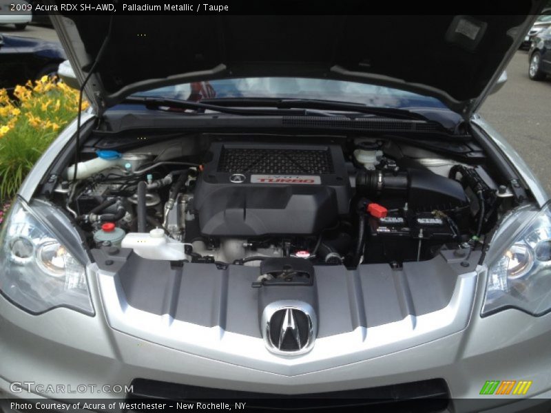 Palladium Metallic / Taupe 2009 Acura RDX SH-AWD