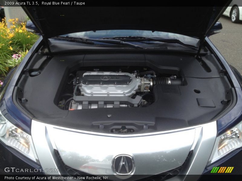 Royal Blue Pearl / Taupe 2009 Acura TL 3.5
