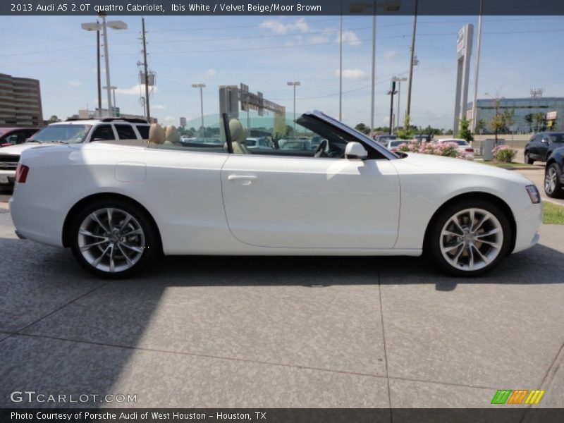 Ibis White / Velvet Beige/Moor Brown 2013 Audi A5 2.0T quattro Cabriolet