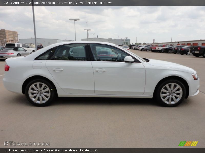 Ibis White / Velvet Beige/Moor Brown 2013 Audi A4 2.0T quattro Sedan