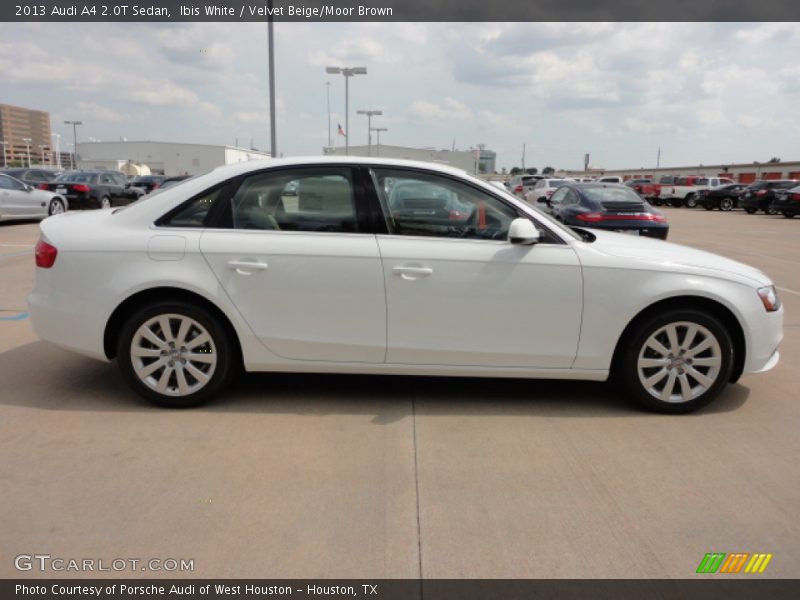 Ibis White / Velvet Beige/Moor Brown 2013 Audi A4 2.0T Sedan