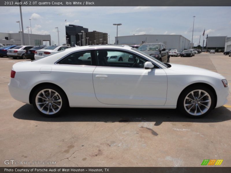 Ibis White / Black 2013 Audi A5 2.0T quattro Coupe