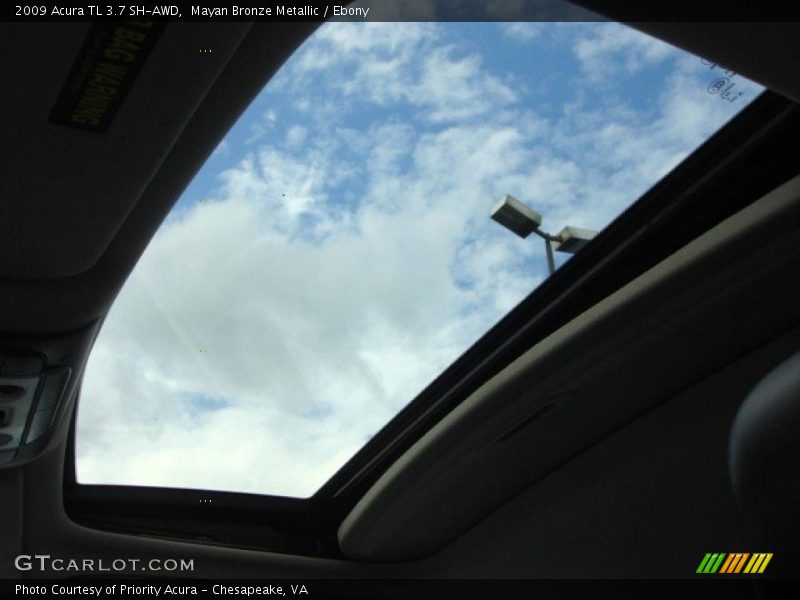 Mayan Bronze Metallic / Ebony 2009 Acura TL 3.7 SH-AWD
