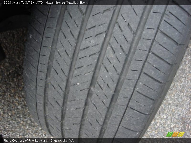 Mayan Bronze Metallic / Ebony 2009 Acura TL 3.7 SH-AWD