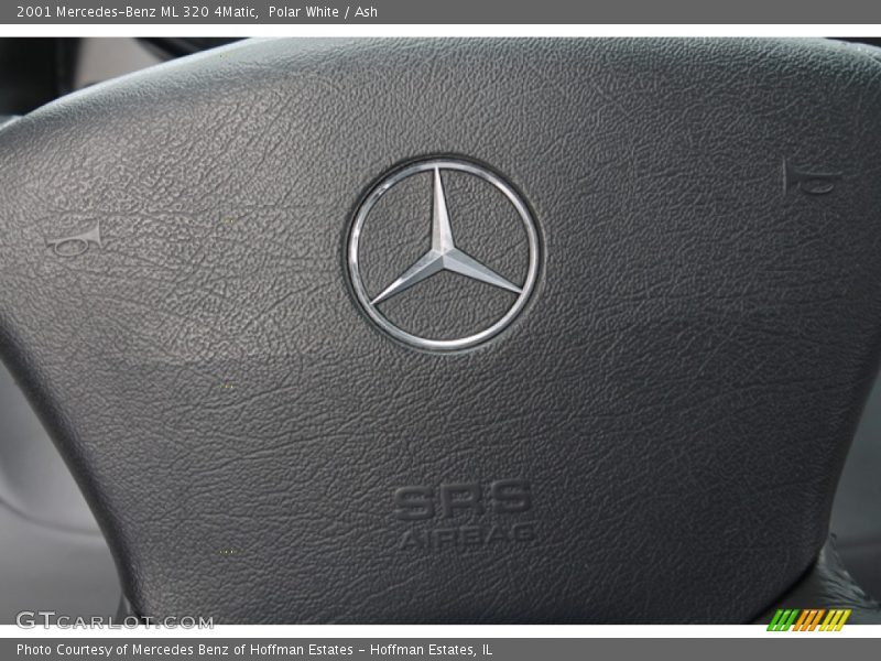 Polar White / Ash 2001 Mercedes-Benz ML 320 4Matic