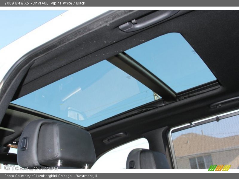 Alpine White / Black 2009 BMW X5 xDrive48i