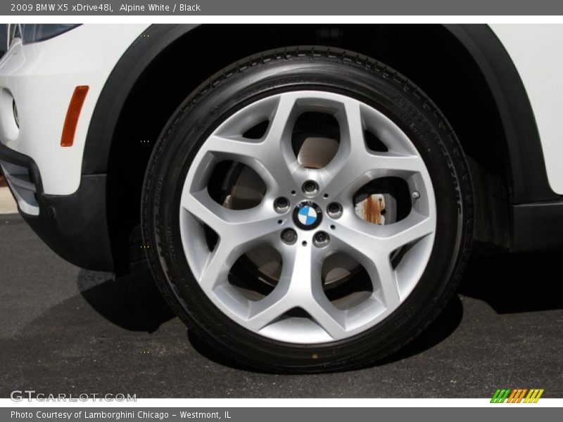 Alpine White / Black 2009 BMW X5 xDrive48i