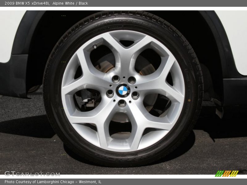 Alpine White / Black 2009 BMW X5 xDrive48i