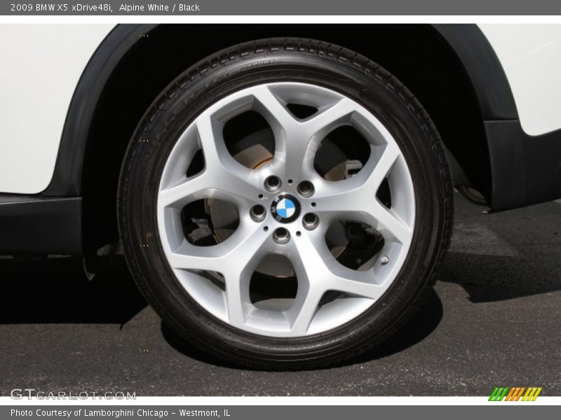 Alpine White / Black 2009 BMW X5 xDrive48i