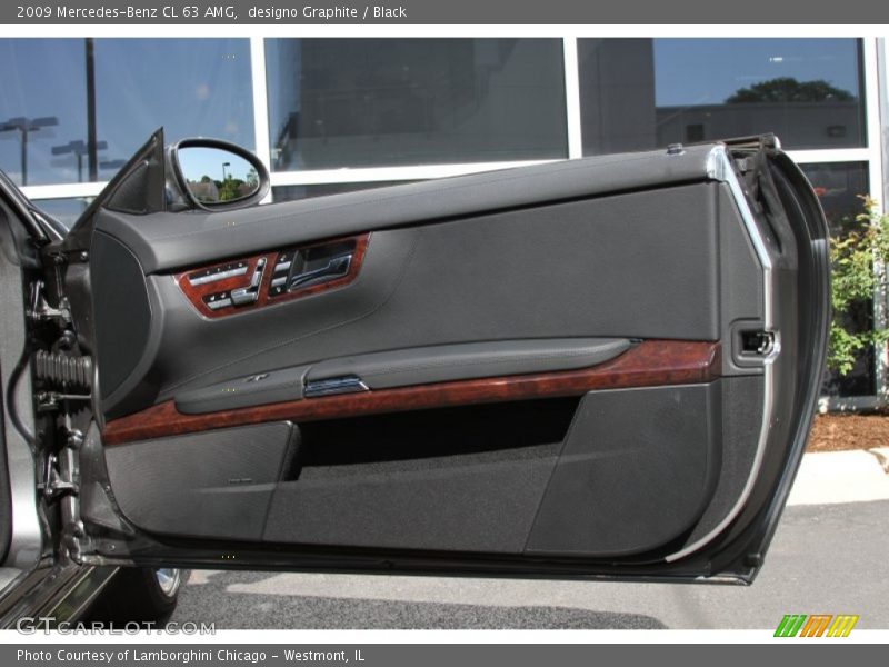 Door Panel of 2009 CL 63 AMG