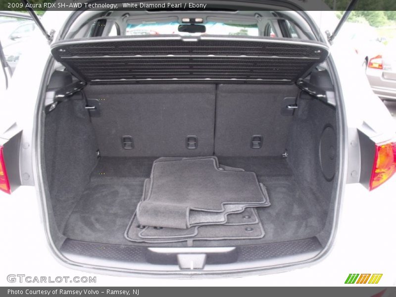 White Diamond Pearl / Ebony 2009 Acura RDX SH-AWD Technology