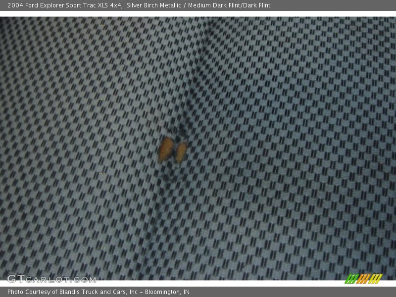 Silver Birch Metallic / Medium Dark Flint/Dark Flint 2004 Ford Explorer Sport Trac XLS 4x4