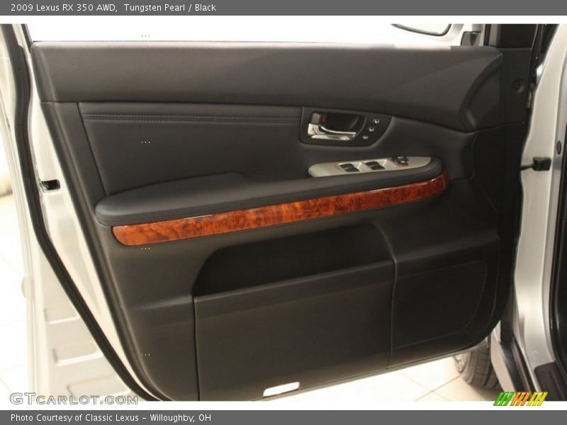 Door Panel of 2009 RX 350 AWD