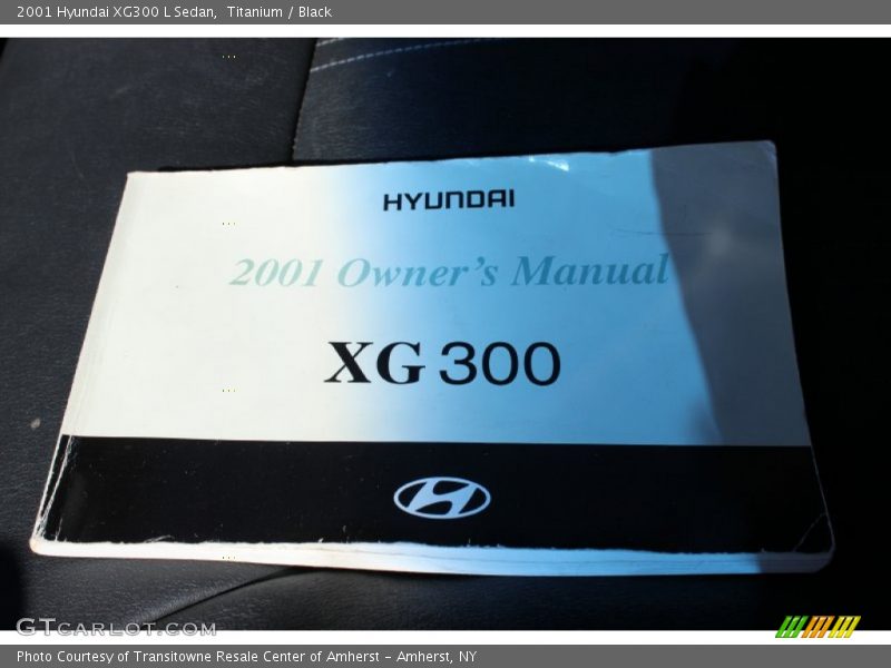 Titanium / Black 2001 Hyundai XG300 L Sedan