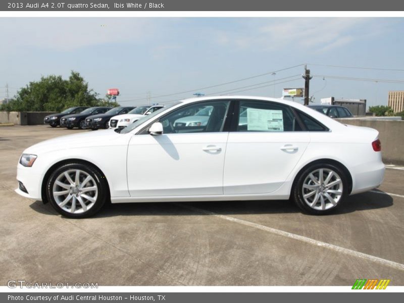 Ibis White / Black 2013 Audi A4 2.0T quattro Sedan