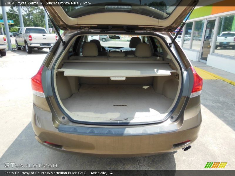 Sunset Bronze Mica / Ivory 2009 Toyota Venza I4