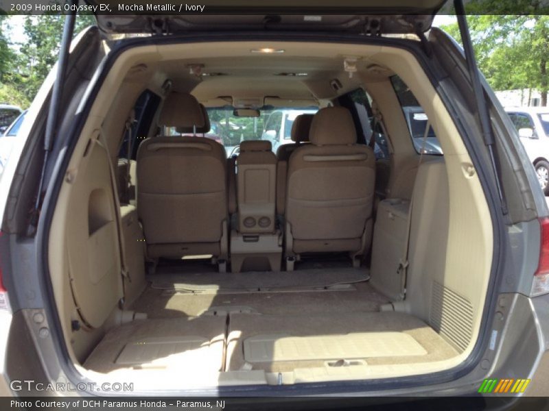 Mocha Metallic / Ivory 2009 Honda Odyssey EX