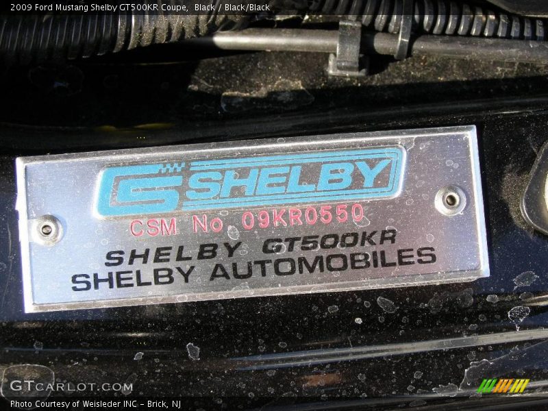  2009 Mustang Shelby GT500KR Coupe Logo