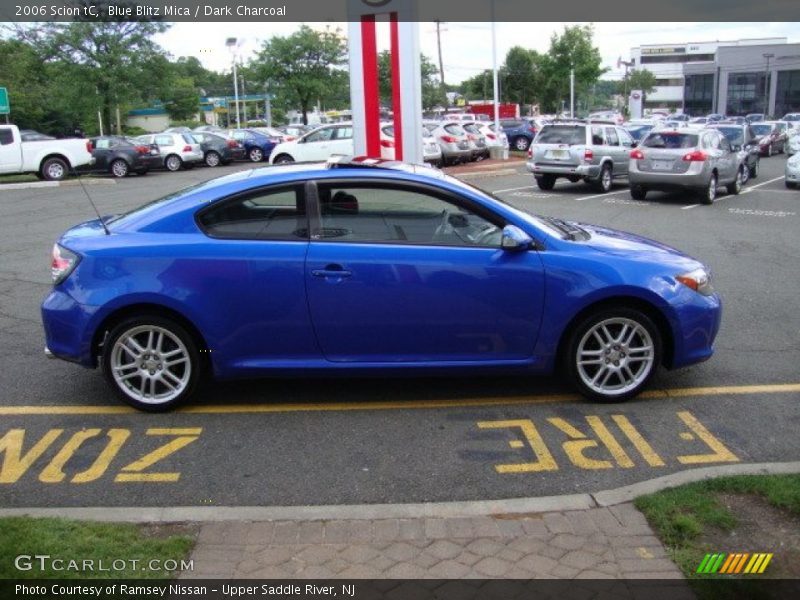 Blue Blitz Mica / Dark Charcoal 2006 Scion tC