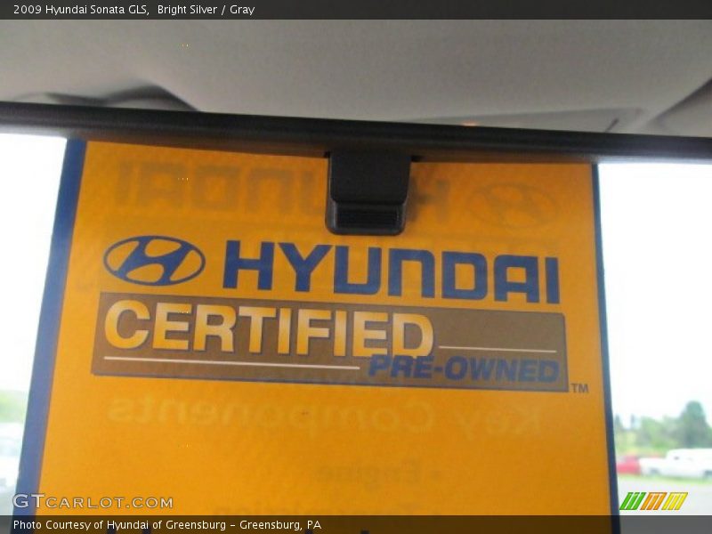 Bright Silver / Gray 2009 Hyundai Sonata GLS