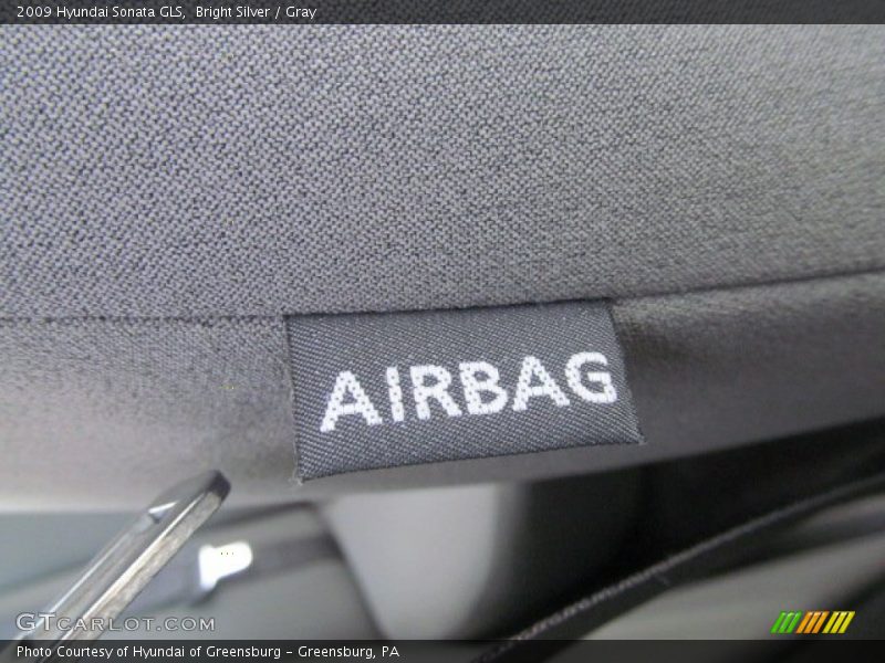 Bright Silver / Gray 2009 Hyundai Sonata GLS