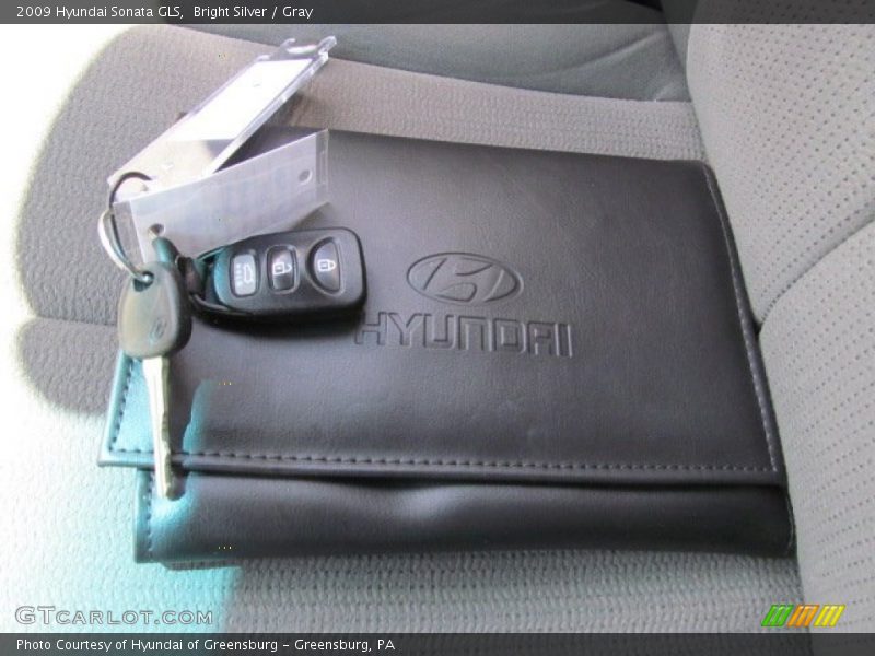 Bright Silver / Gray 2009 Hyundai Sonata GLS