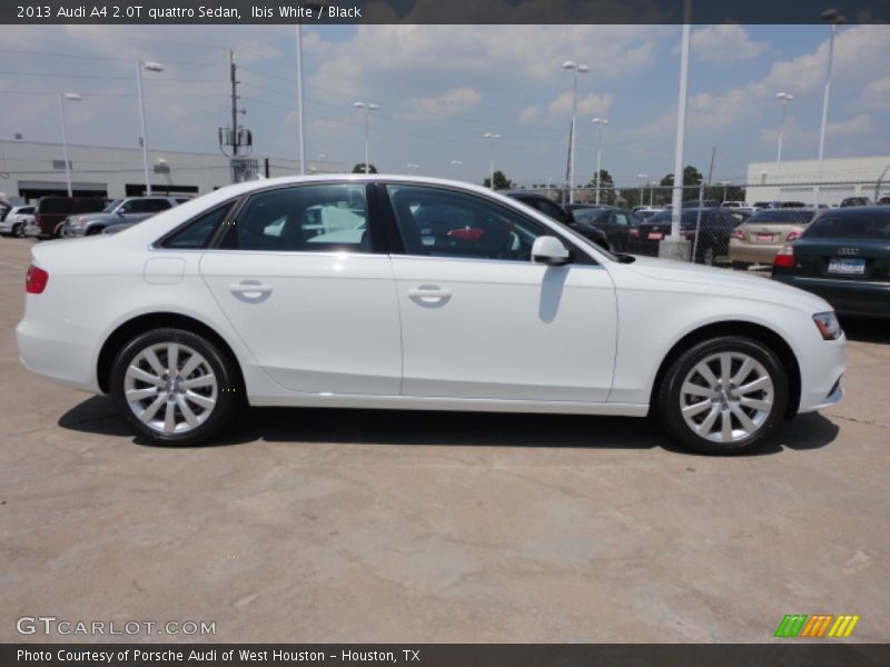 Ibis White / Black 2013 Audi A4 2.0T quattro Sedan