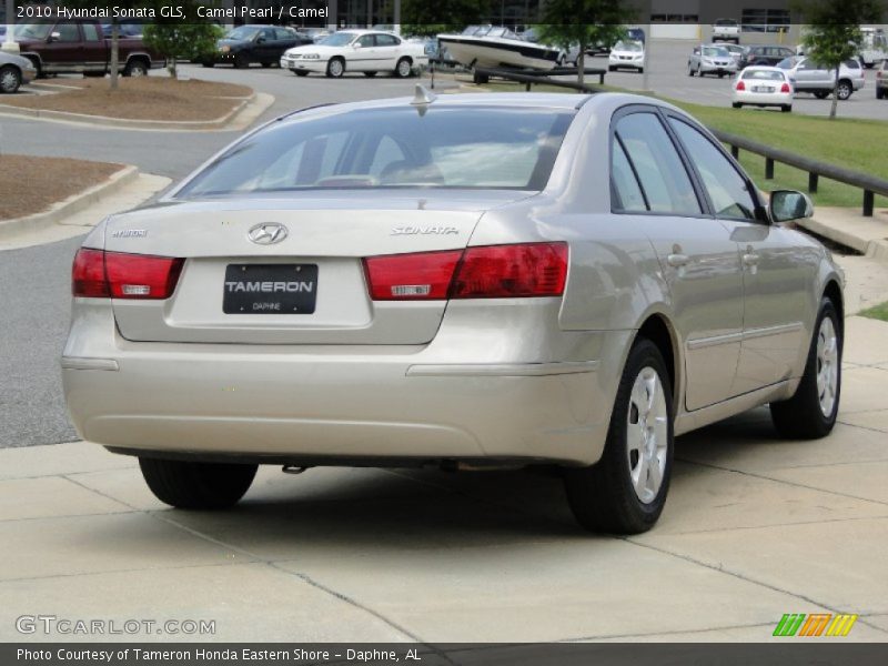 Camel Pearl / Camel 2010 Hyundai Sonata GLS