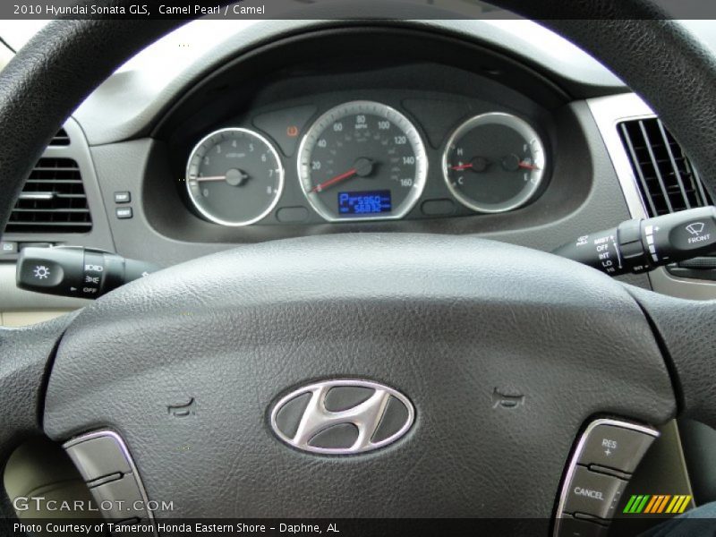 Camel Pearl / Camel 2010 Hyundai Sonata GLS