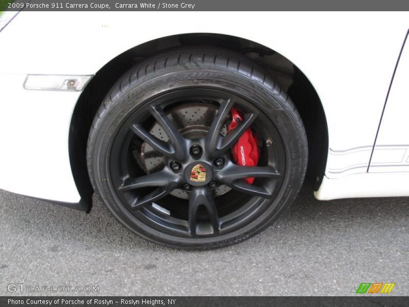  2009 911 Carrera Coupe Wheel