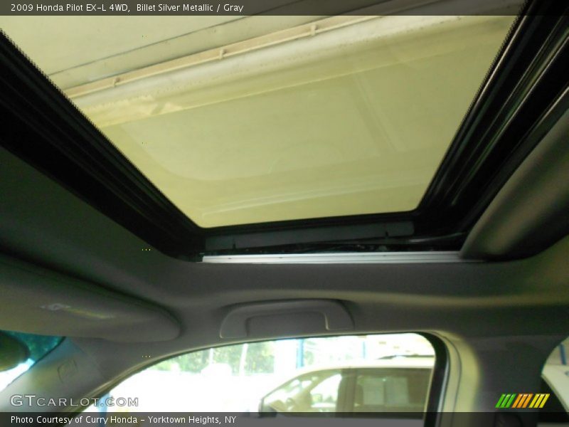 Billet Silver Metallic / Gray 2009 Honda Pilot EX-L 4WD