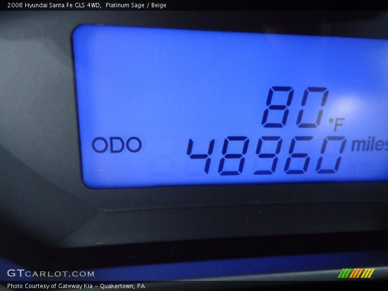 Platinum Sage / Beige 2008 Hyundai Santa Fe GLS 4WD