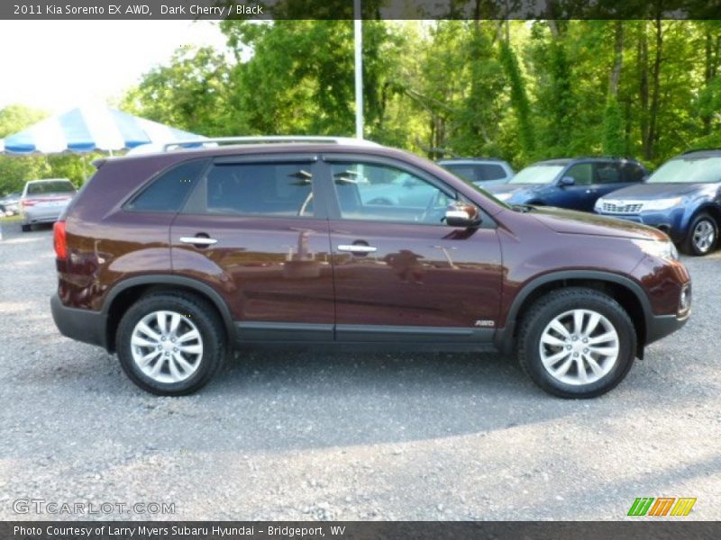 Dark Cherry / Black 2011 Kia Sorento EX AWD