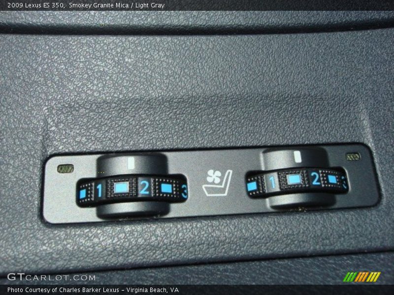 Smokey Granite Mica / Light Gray 2009 Lexus ES 350