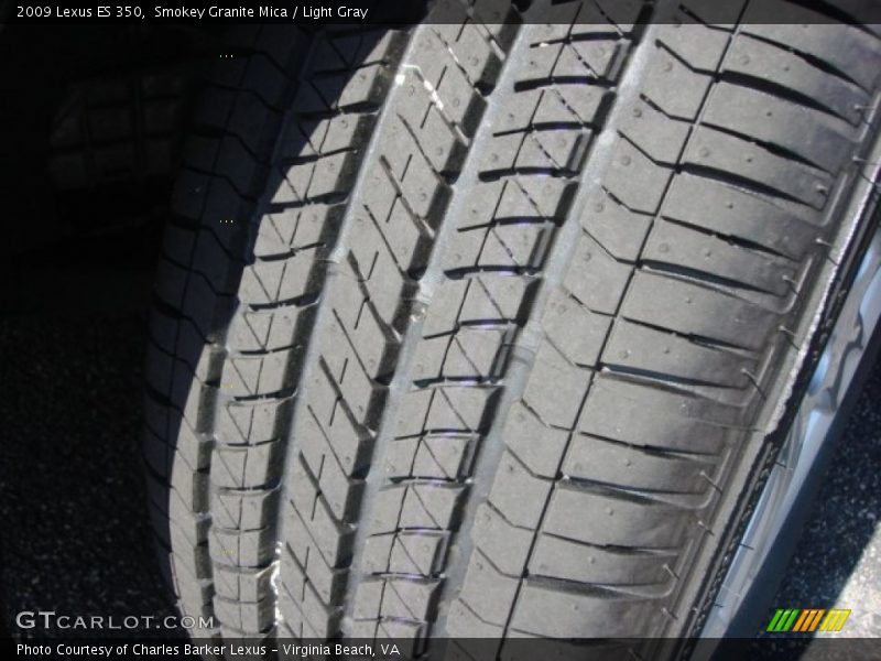 Smokey Granite Mica / Light Gray 2009 Lexus ES 350