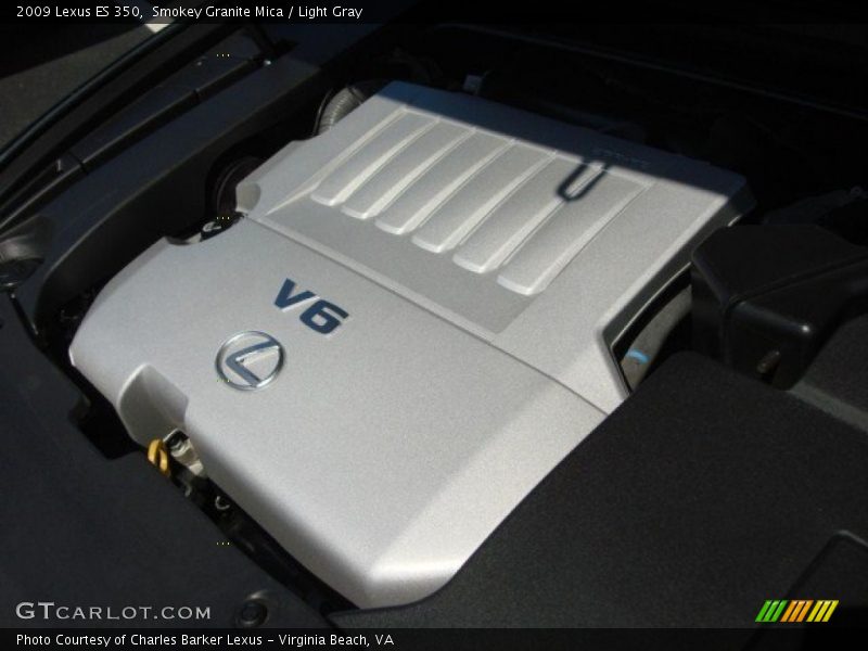 Smokey Granite Mica / Light Gray 2009 Lexus ES 350