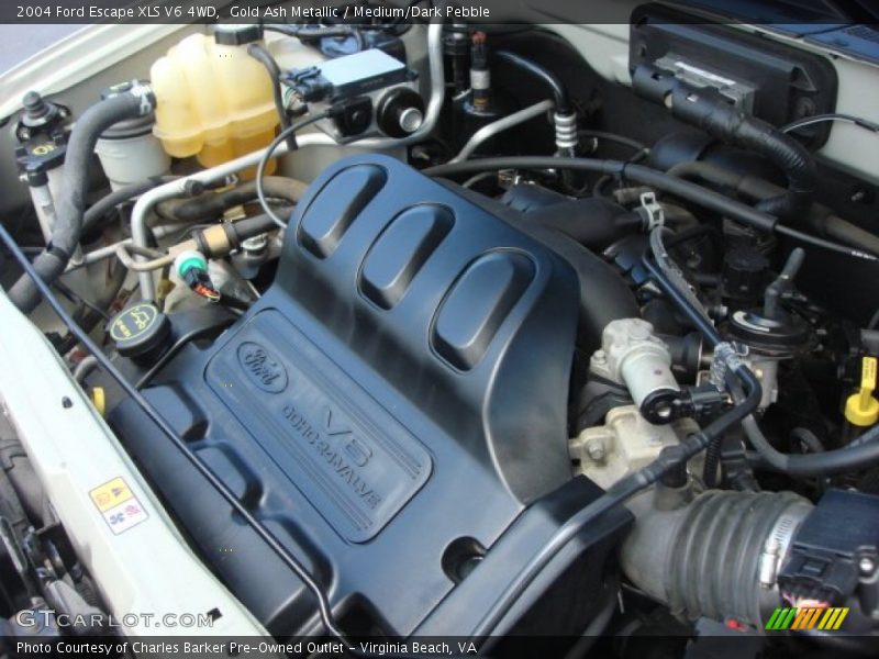 Gold Ash Metallic / Medium/Dark Pebble 2004 Ford Escape XLS V6 4WD
