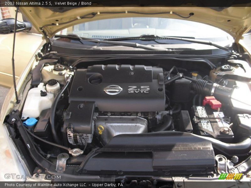 Velvet Beige / Blond 2003 Nissan Altima 2.5 S