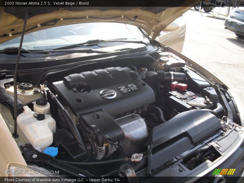Velvet Beige / Blond 2003 Nissan Altima 2.5 S